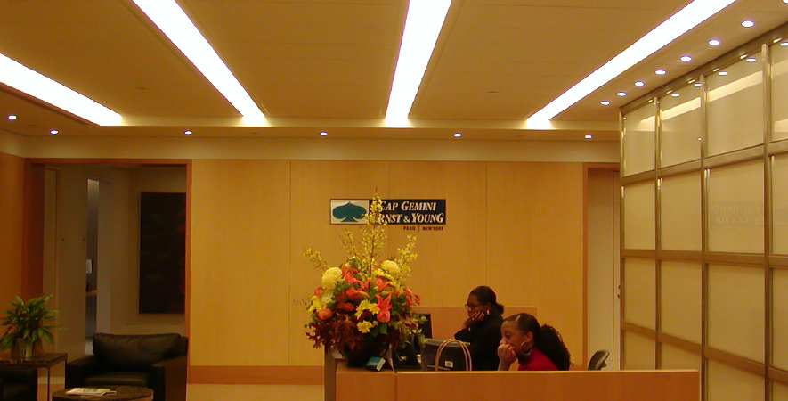 Ernst-Young-1.jpg-885x450