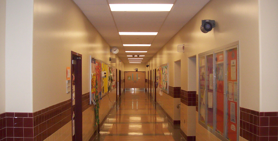 PS-229-1.jpg-885x450