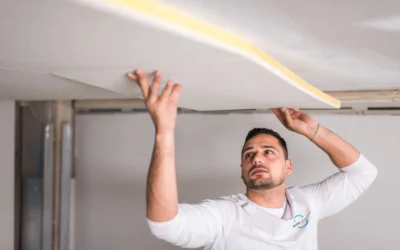 Sound Matters: How Acoustical Plaster Elevates Office Build-Outs